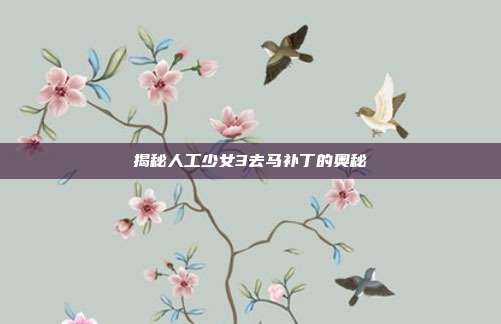 揭秘人工少女3去马补丁的奥秘