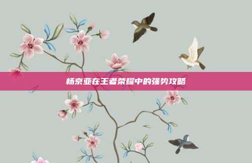 杨京亚在王者荣耀中的强势攻略