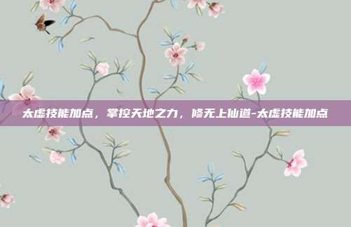 太虚技能加点,掌控天地之力,修无上仙道-太虚技能加点