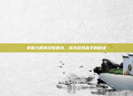 掌握九阴真经紫霞功，成为游戏高手的秘诀
