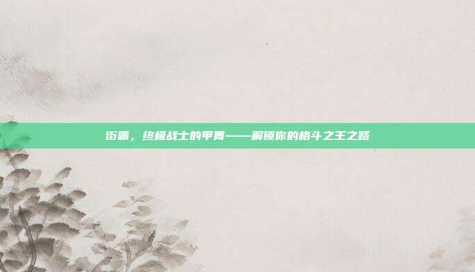 街霸,终极战士的甲胄——解锁你的格斗之王之路