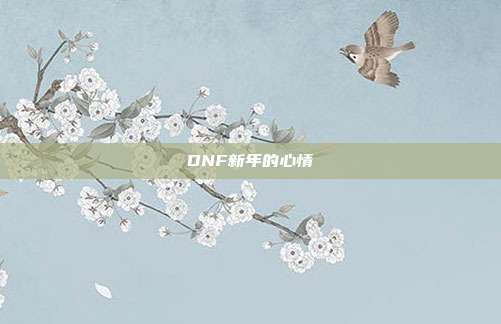 DNF新年的心情