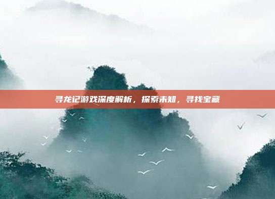 寻龙记游戏深度解析,探索未知,寻找宝藏