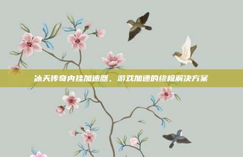 冰天传奇内挂加速器,游戏加速的终极解决方案