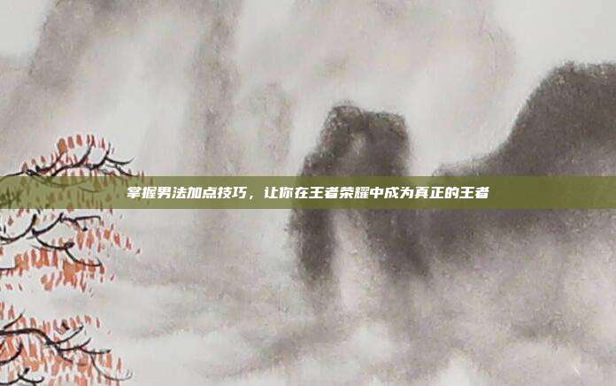 掌握男法加点技巧,让你在王者荣耀中成为真正的王者
