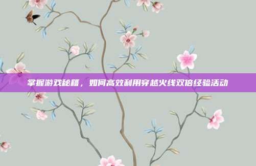 掌握游戏秘籍，如何高效利用穿越火线双倍经验活动