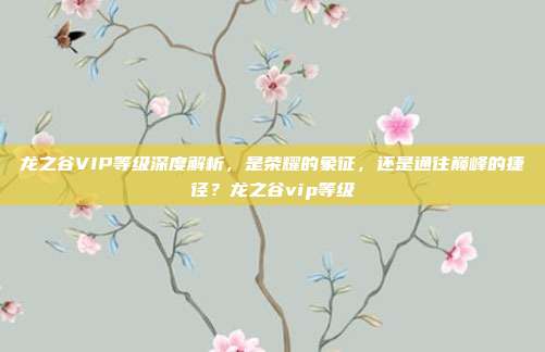 龙之谷VIP等级深度解析，是荣耀的象征，还是通往巅峰的捷径？龙之谷vip等级