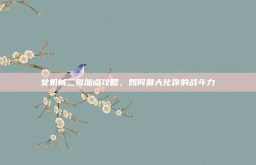 女机械二觉加点攻略,如何最大化你的战斗力