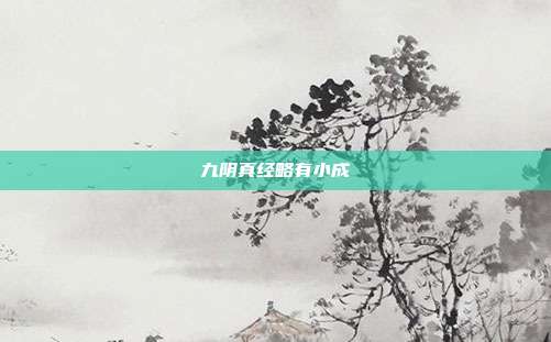 九阴真经略有小成