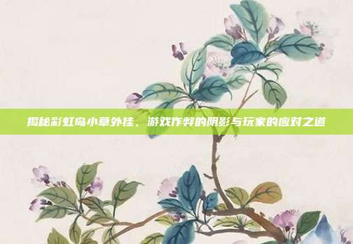 揭秘彩虹岛小草外挂,游戏作弊的阴影与玩家的应对之道