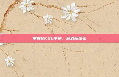 掌握2KOL手柄,游戏新体验