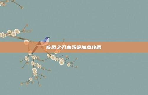 疾风之刃血妖姬加点攻略