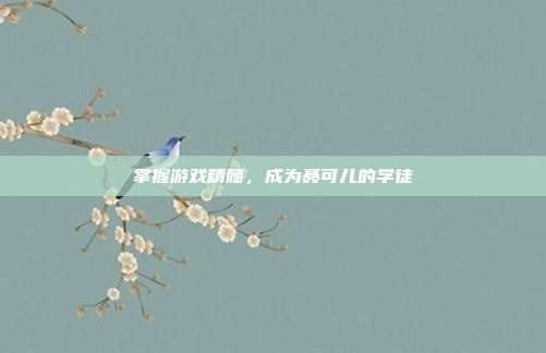 掌握游戏精髓，成为聂可儿的学徒