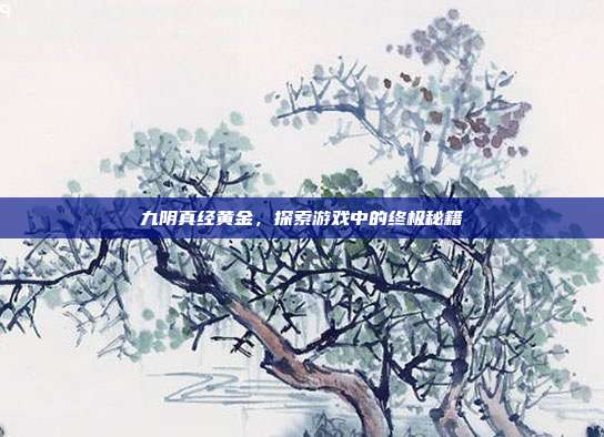 九阴真经黄金，探索游戏中的终极秘籍