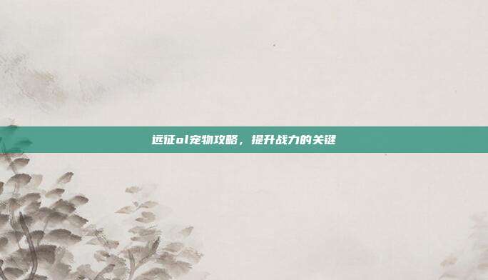 远征ol宠物攻略,提升战力的关键