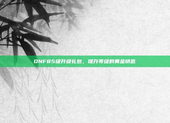 DNF85级升级礼包，提升等级的黄金钥匙