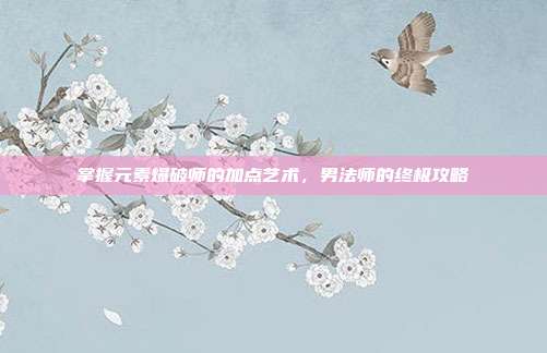 掌握元素爆破师的加点艺术,男法师的终极攻略