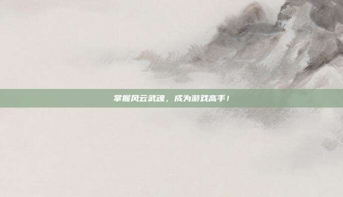 掌握风云武魂，成为游戏高手！