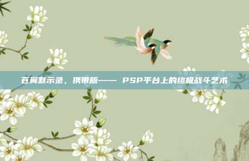 苍翼默示录,携带版—— PSP平台上的终极战斗艺术