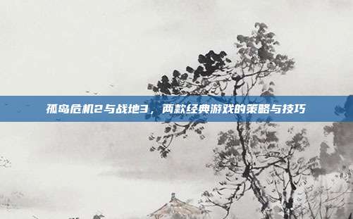 孤岛危机2与战地3,两款经典游戏的策略与技巧