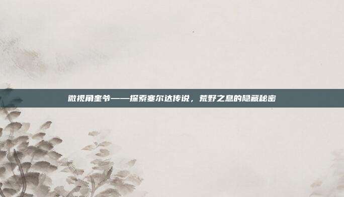 微视角奎爷——探索塞尔达传说,荒野之息的隐藏秘密