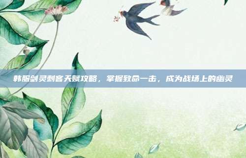 韩服剑灵刺客天赋攻略,掌握致命一击,成为战场上的幽灵