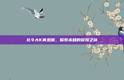 北斗大K青葱版，探索未知的冒险之旅
