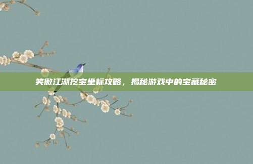 笑傲江湖挖宝坐标攻略,揭秘游戏中的宝藏秘密