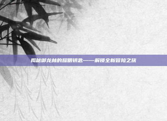 揭秘御龙林的耀眼钥匙——解锁全新冒险之旅