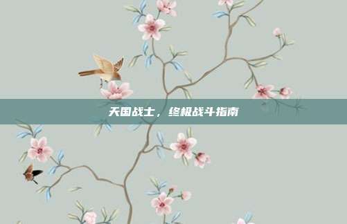 天国战士，终极战斗指南