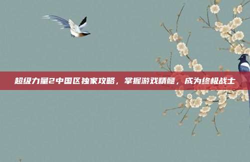 超级力量2中国区独家攻略，掌握游戏精髓，成为终极战士
