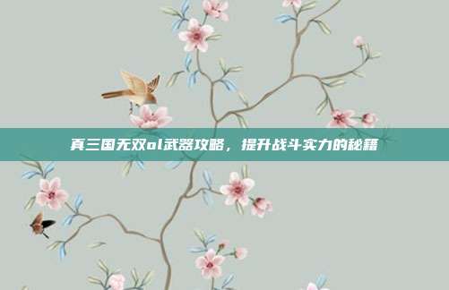 真三国无双ol武器攻略，提升战斗实力的秘籍