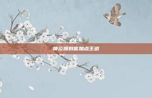神泣爆刺客加点王道