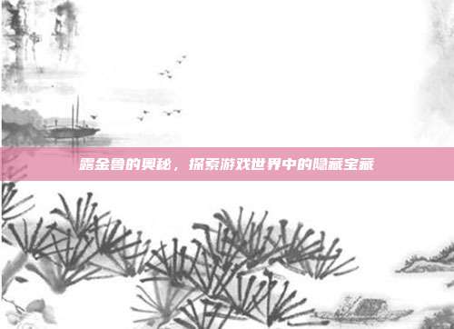 露金鲁的奥秘，探索游戏世界中的隐藏宝藏