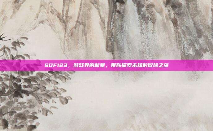 SDF123，游戏界的新星，带你探索未知的冒险之旅