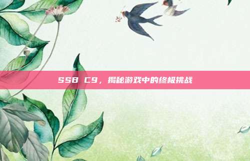 SSB C9，揭秘游戏中的终极挑战