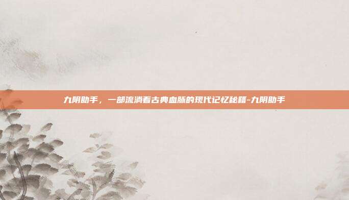 九阴助手,一部流淌着古典血脉的现代记忆秘籍-九阴助手