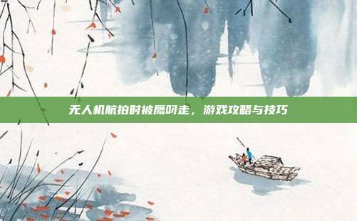 无人机航拍时被鹰叼走,游戏攻略与技巧