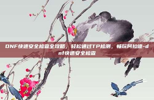 DNF快速安全检查全攻略,轻松通过TP检测,畅玩阿拉德-dnf快速安全检查
