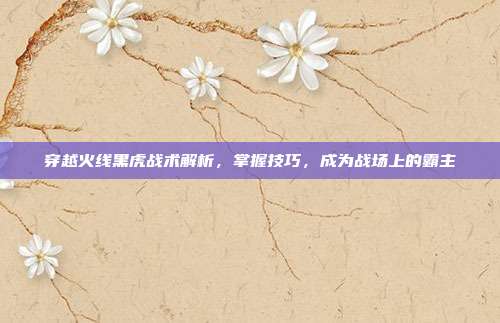 穿越火线黑虎战术解析,掌握技巧,成为战场上的霸主