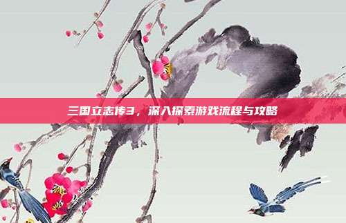 三国立志传3,深入探索游戏流程与攻略