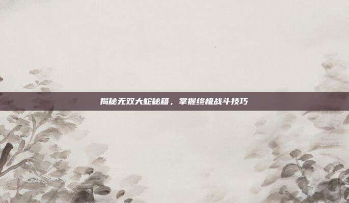 揭秘无双大蛇秘籍，掌握终极战斗技巧