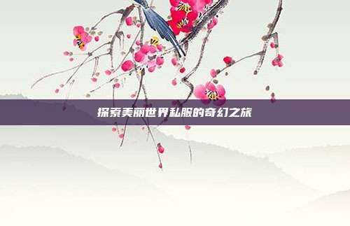 探索美丽世界私服的奇幻之旅