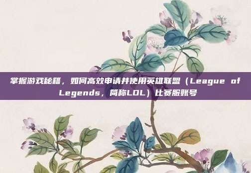 掌握游戏秘籍,如何高效申请并使用英雄联盟(League of Legends,简称LOL)比赛服账号