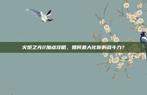 火炬之光2加点攻略,如何最大化你的战斗力?
