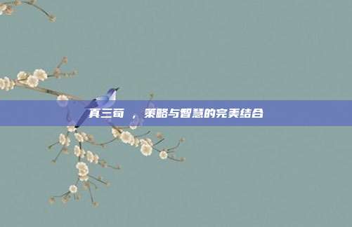 真三荀彧,策略与智慧的完美结合