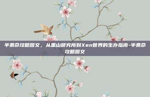 半条命攻略图文,从黑山研究所到Xen世界的生存指南-半条命攻略图文