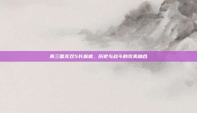 真三国无双5长坂坡,历史与战斗的完美融合