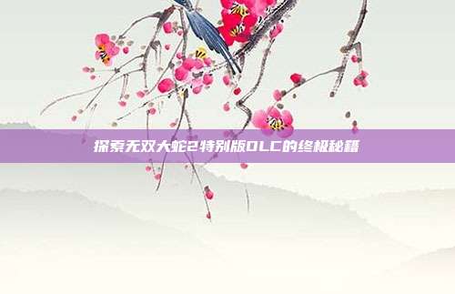 探索无双大蛇2特别版DLC的终极秘籍
