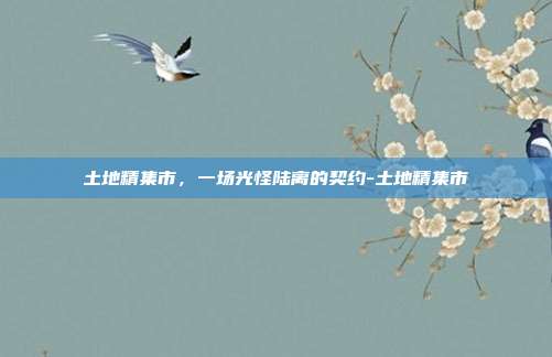 土地精集市,一场光怪陆离的契约-土地精集市